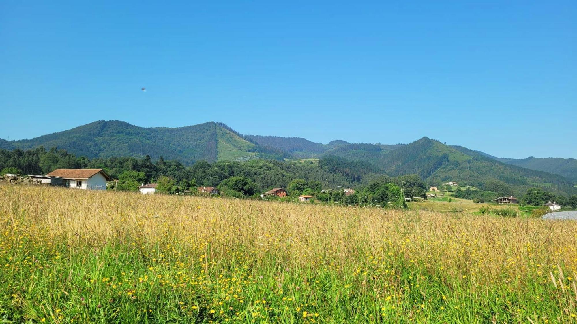 Hotel Aldori Landetxea - Reserva De La Biosfera Urdaibai - Adults Only Muxika Dış mekan fotoğraf